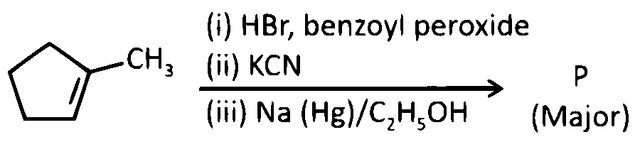NEET 2025 Chemistry - Hydrocarbons Question 6 English