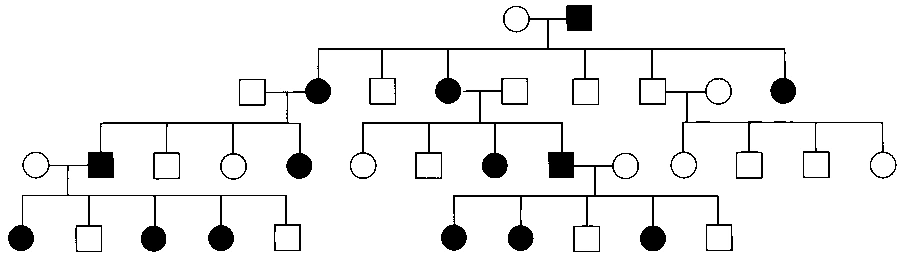 IAT (IISER) 2026 Biology - Principles of Inheritance and Variation Question 1 English