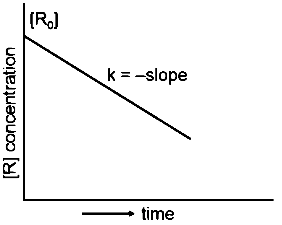 NEET 2026 Chemistry - Chemical Kinetics Question 3 English