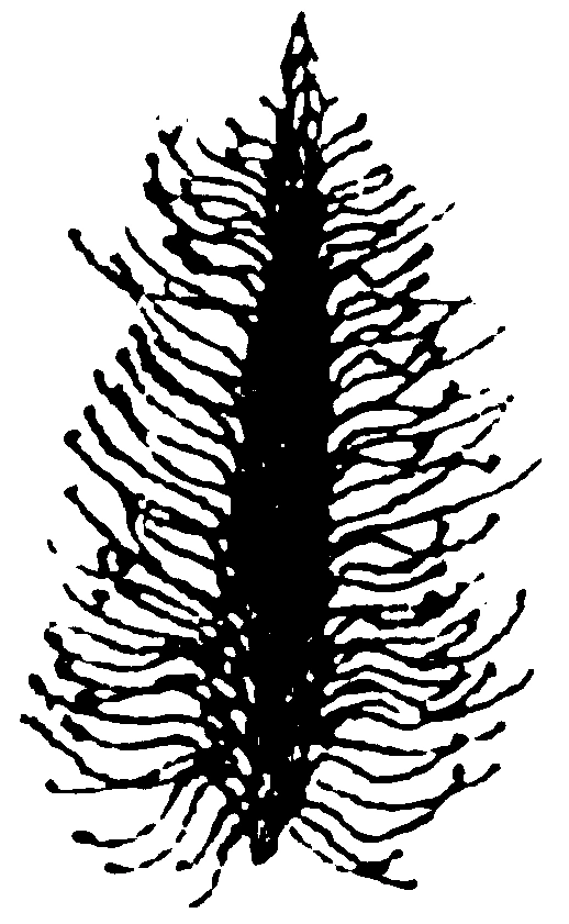 NEET 2024 Biology - Sexual Reproduction in Flowering Plants Question 17 English
