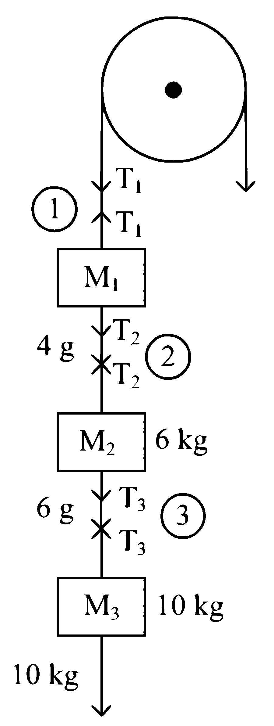 JEE Main 2024 (Online) 5th April Morning Shift Physics - Laws of Motion Question 25 English