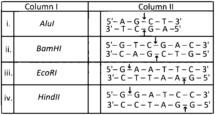 MHT CET (PCB) 2025 9th April Evening Shift Biology - Biotechnology: Principles and Processes Question 1 English