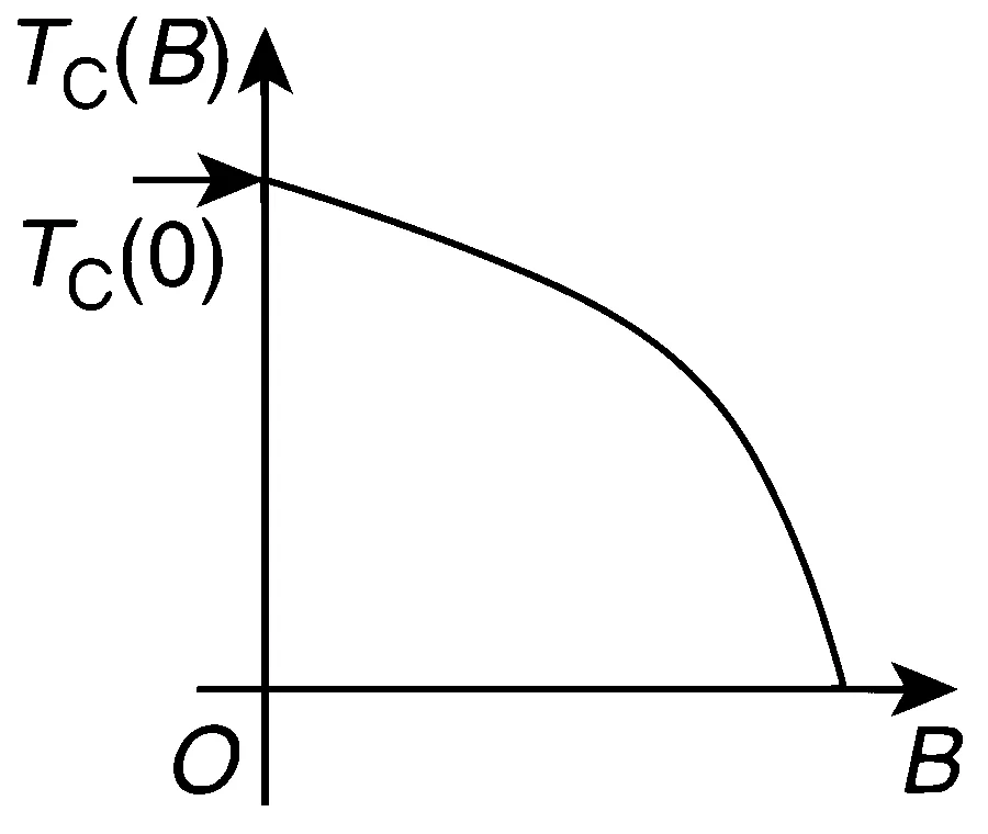 IIT-JEE 2010 Paper 1 Offline Physics - Magnetism Question 19 English Comprehension