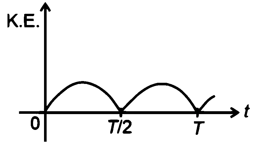 NEET 2026 Physics - Oscillations Question 3 English Option 3