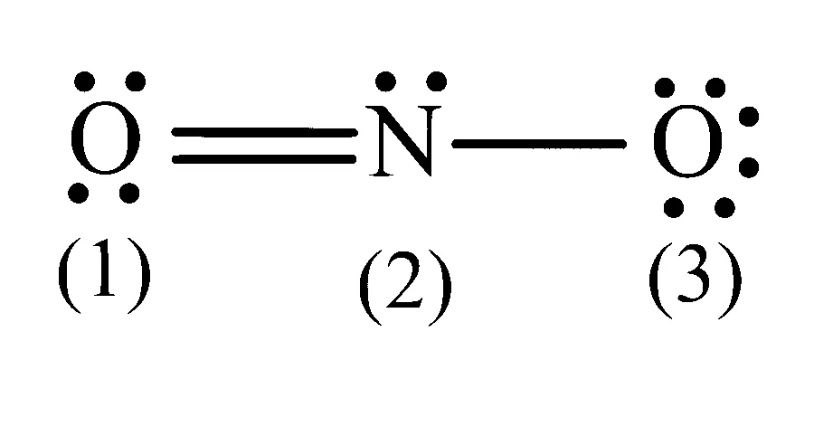 AP EAPCET 2024 - 20th May Morning Shift Chemistry - Chemical Bonding and Molecular Structure Question 41 English