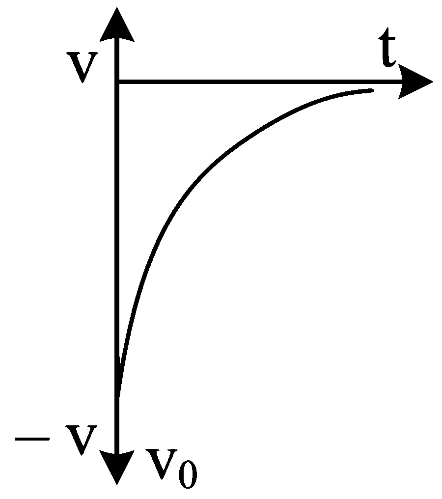 JEE Main 2023 (Online) 30th January Morning Shift Physics - Motion in a Straight Line Question 47 English 8