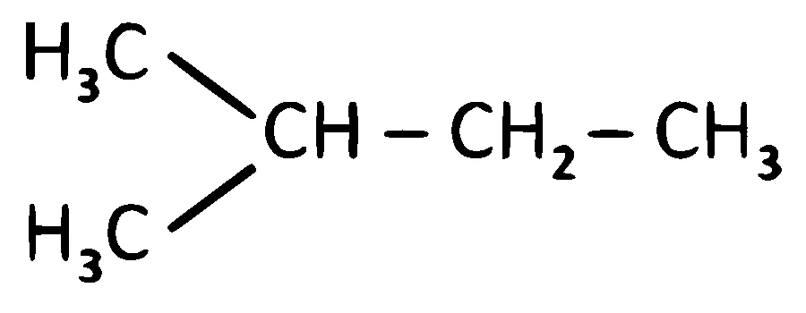 NEET 2025 Chemistry - Some Basic Concepts of Organic Chemistry Question 6 English