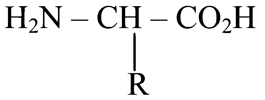 TG EAPCET 2025 (Online) 4th May Morning Shift Chemistry - Biomolecules Question 17 English