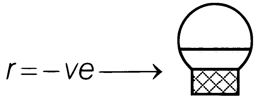 AIIMS 2018 Biology - Organisms and Populations Question 1 English Option 1