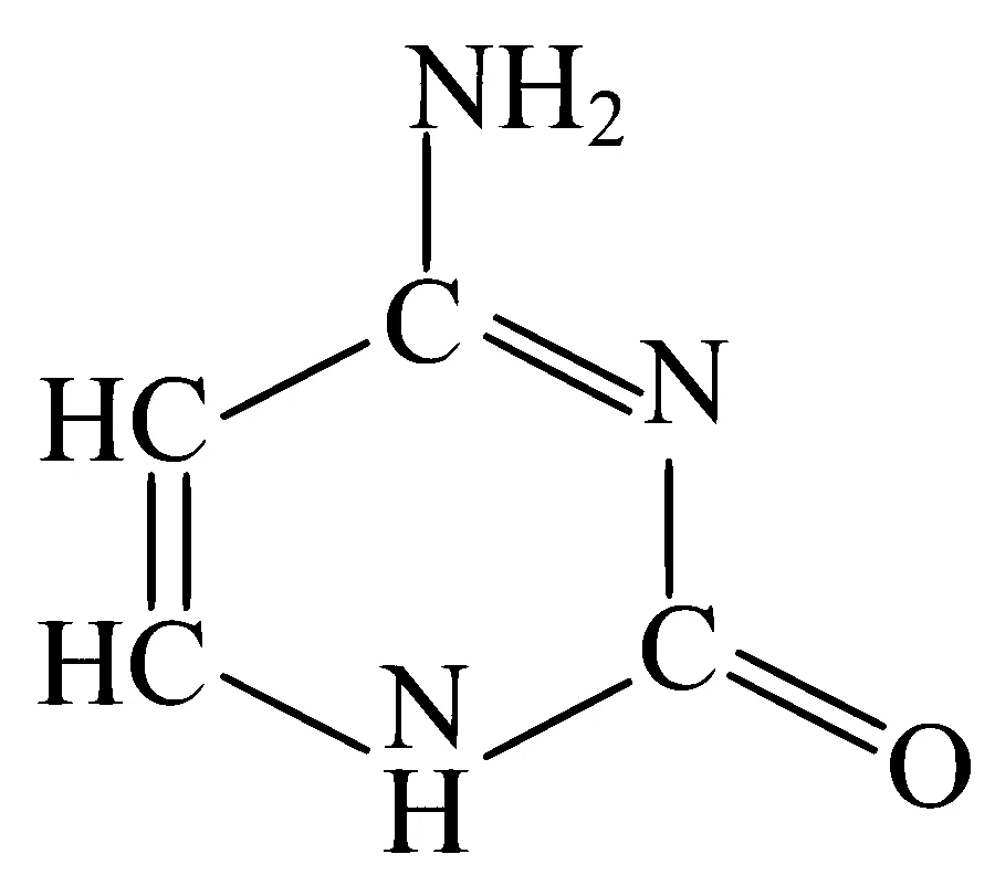 JEE Main 2024 (Online) 6th April Morning Shift Chemistry - Biomolecules Question 40 English Option 2