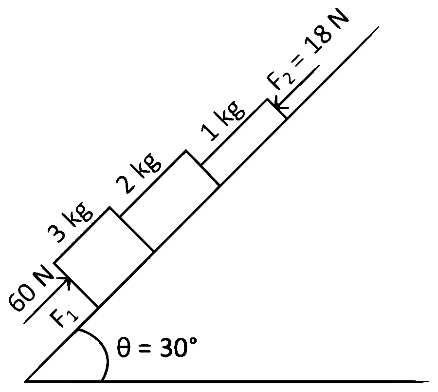 NEET 2022 Phase 2 Physics - Laws of Motion Question 13 English