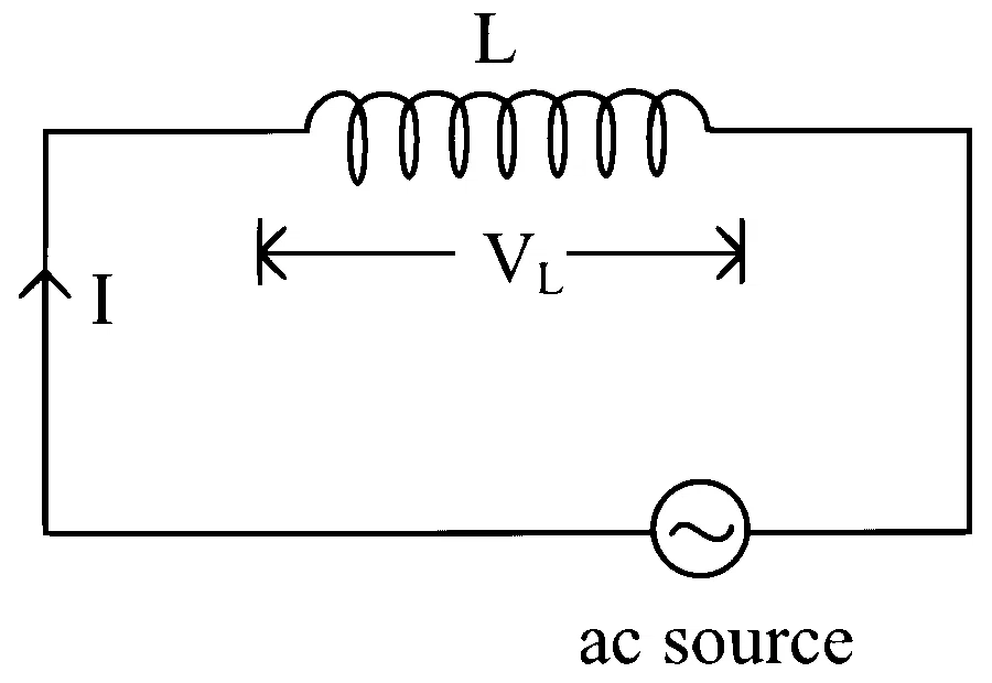 NEET 2024 (Re-Examination) Physics - Alternating Current Question 5 English