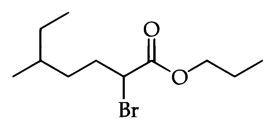 JEE Main 2026 (Online) 22nd January Evening Shift Chemistry - Basics of Organic Chemistry Question 19 English