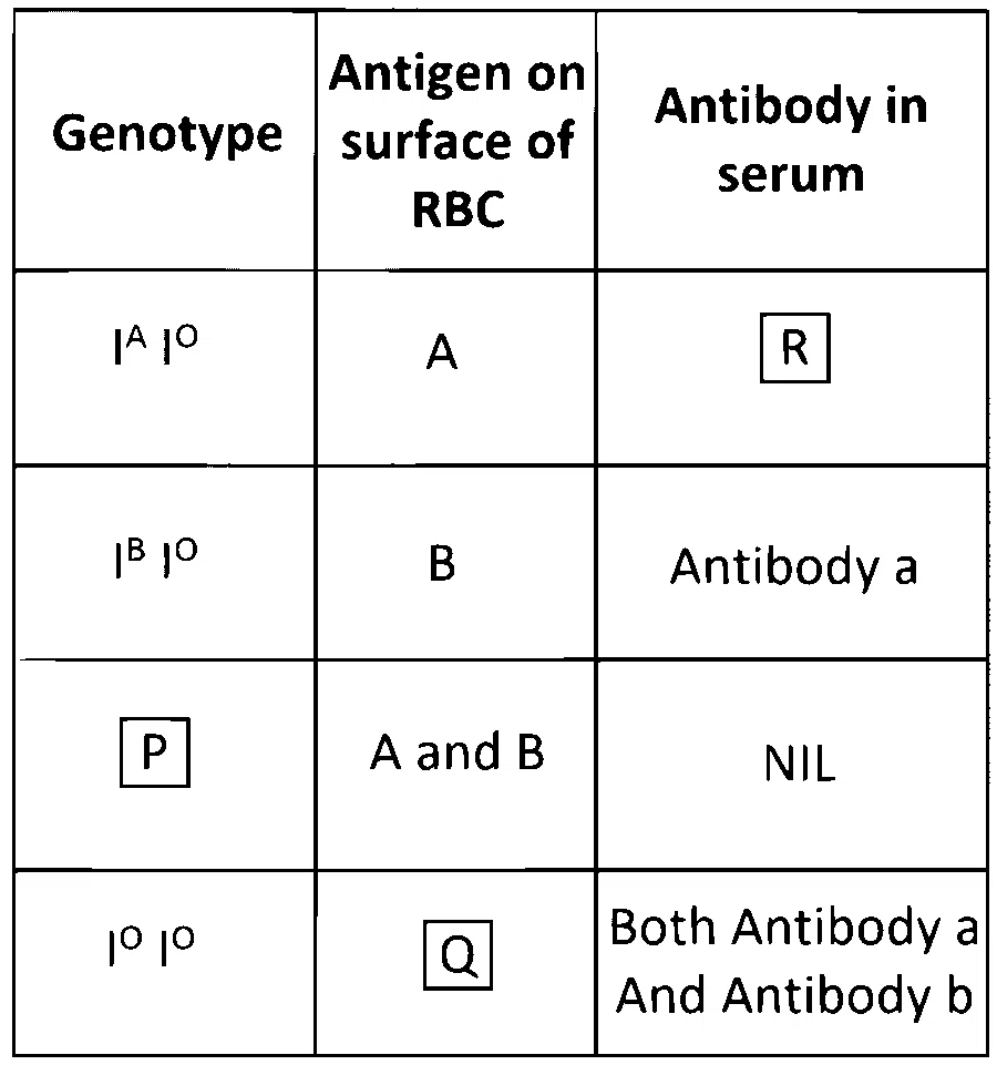MHT CET (PCB) 2025 9th April Morning Shift Biology - Principles of Inheritance and Variation Question 2 English