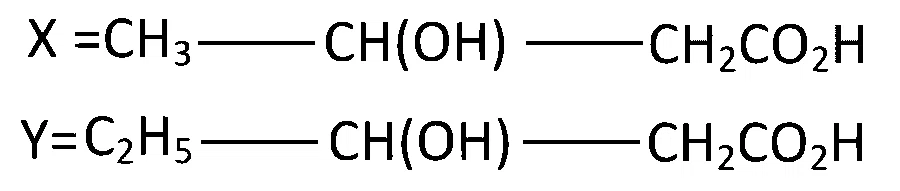 AP EAPCET 2024 - 19th May Evening Shift Chemistry - Polymers Question 23 English Option 2