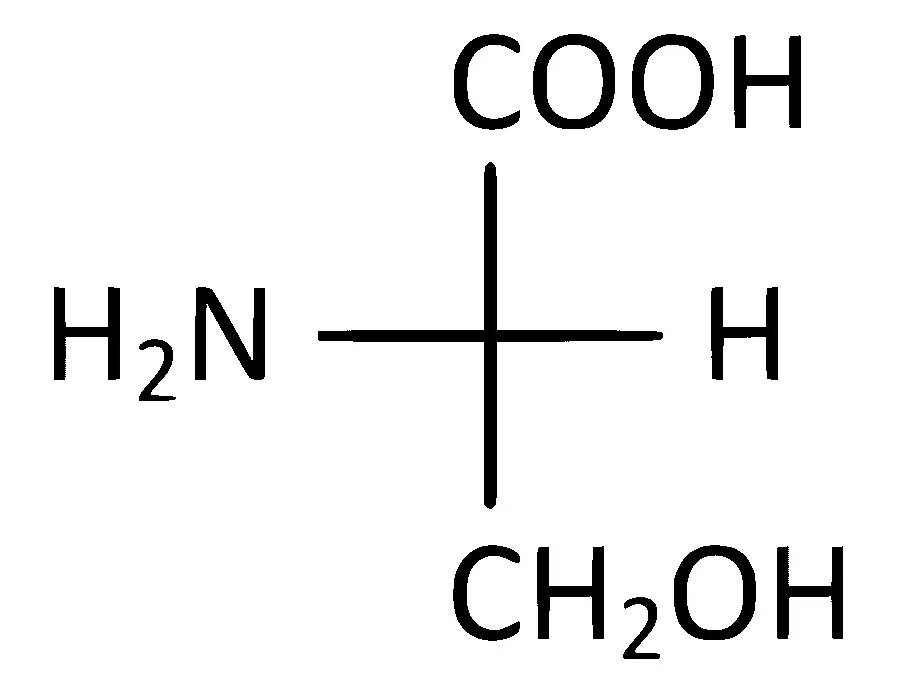 AP EAPCET 2024 - 18th May Morning Shift Chemistry - Biomolecules Question 37 English Option 2