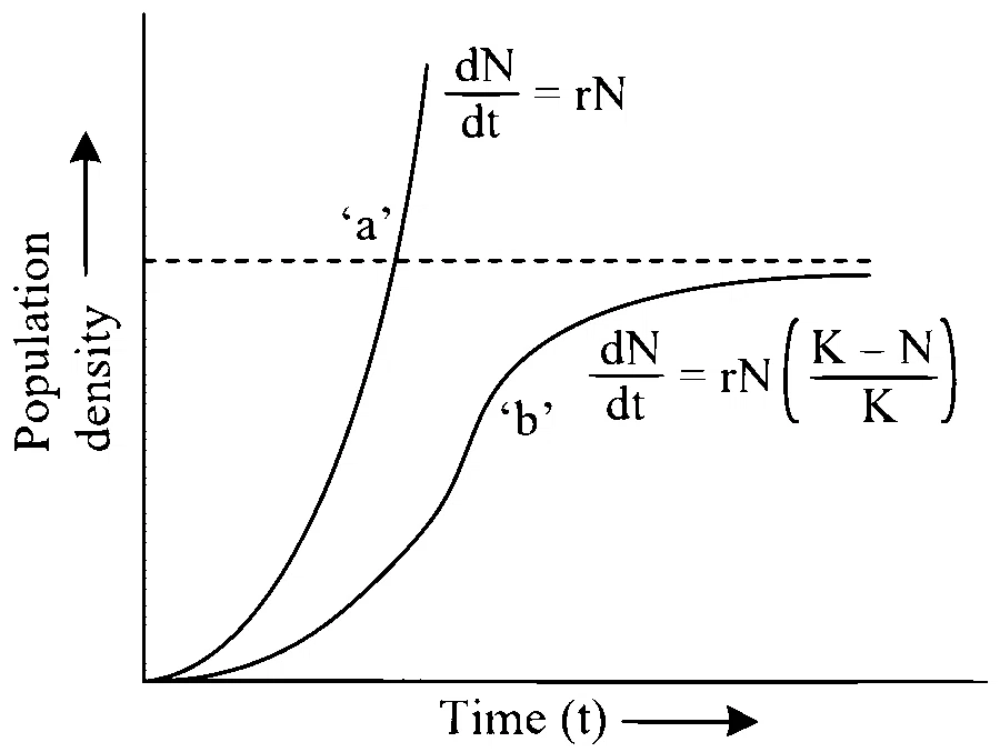 NEET 2024 (Re-Examination) Biology - Organisms and Populations Question 10 English