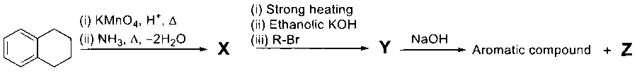 JEE Advanced 2025 Paper 2 Online Chemistry - Compounds Containing Nitrogen Question 7 English