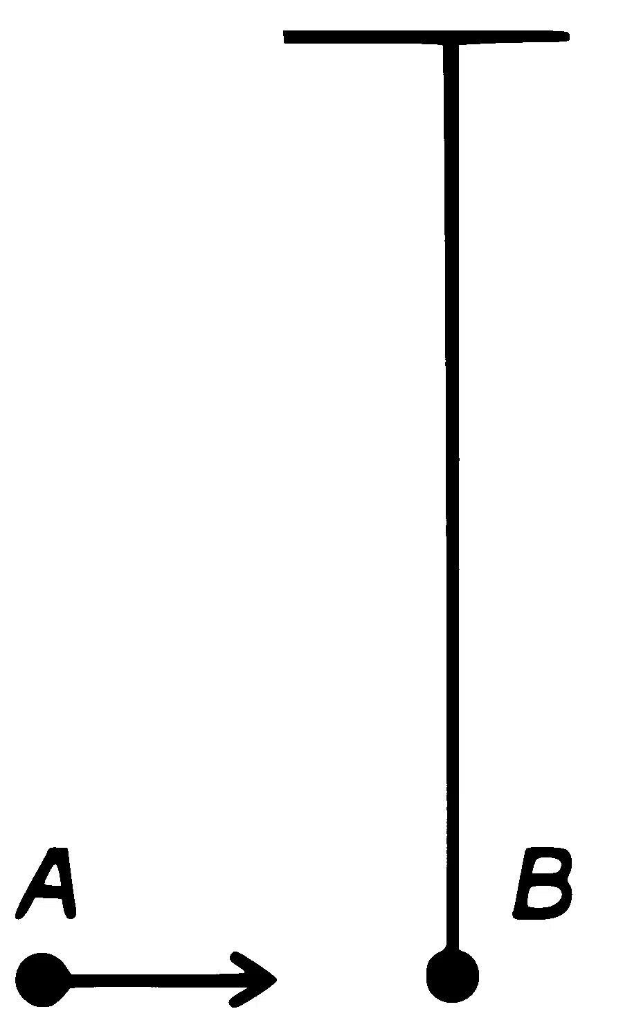 RE-NEET 2026 Physics - Center of Mass and Collision Question 2 English