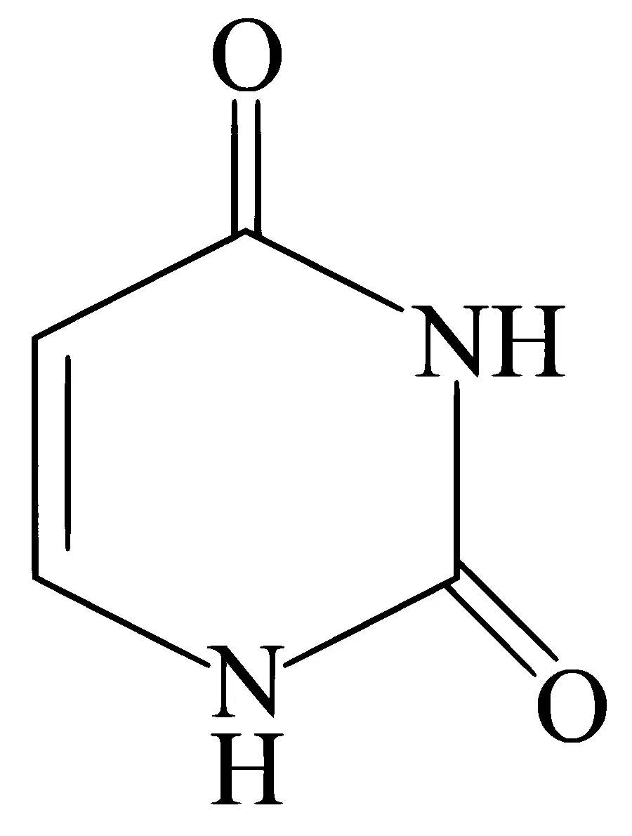 JEE Main 2025 (Online) 24th January Evening Shift Chemistry - Biomolecules Question 30 English 1