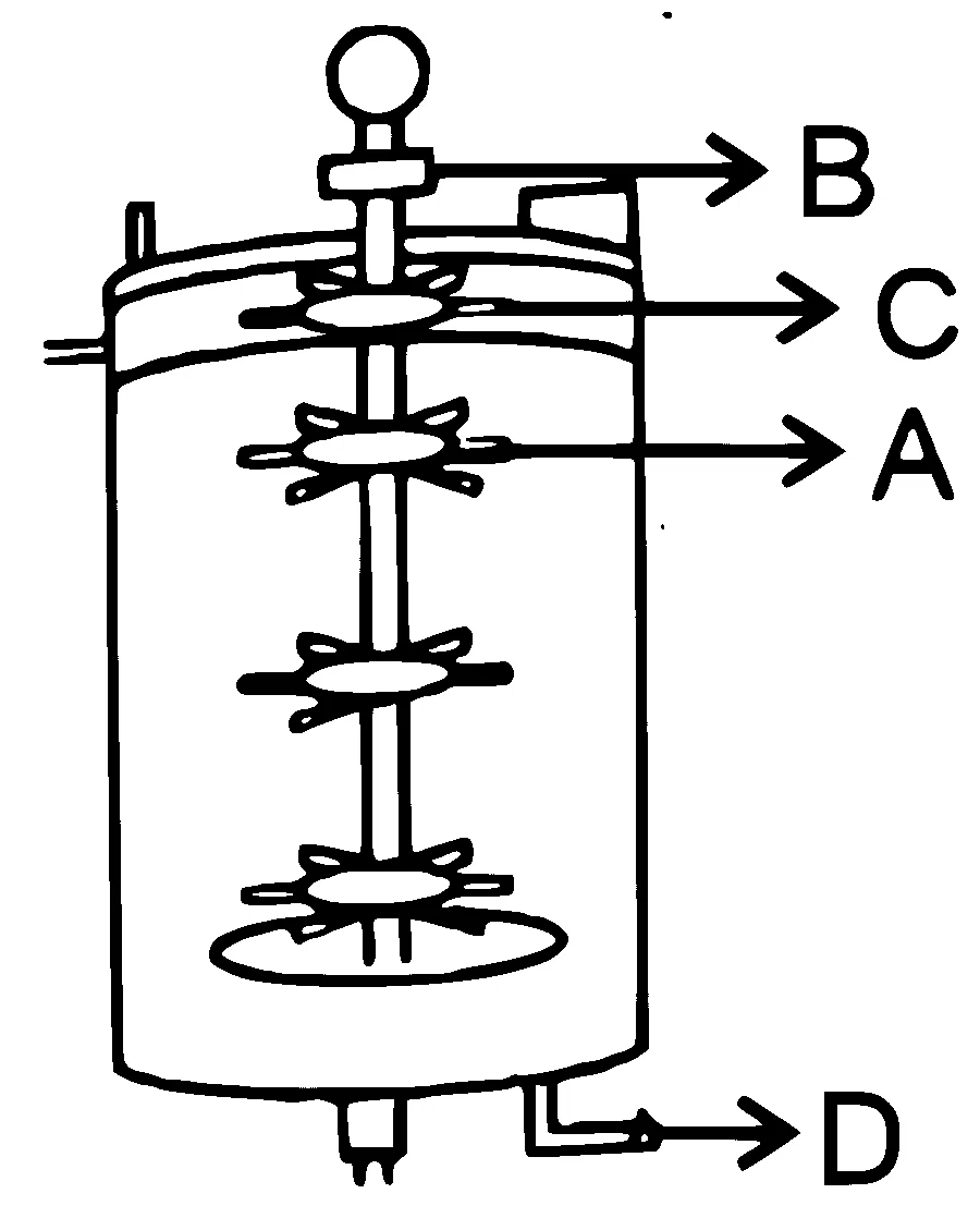 NEET 2025 Biology - Biotechnology: Principles and Processes Question 13 English