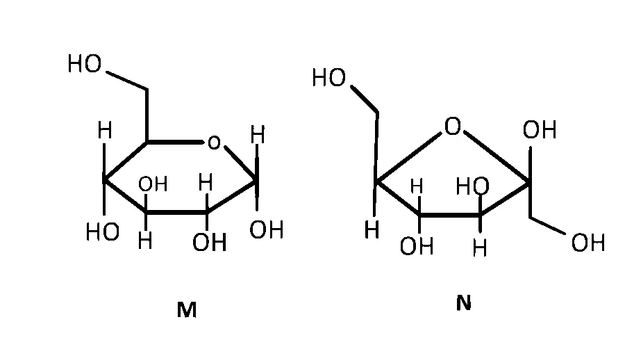 IAT (IISER) 2024 Chemistry - Isomerism Question 5 English