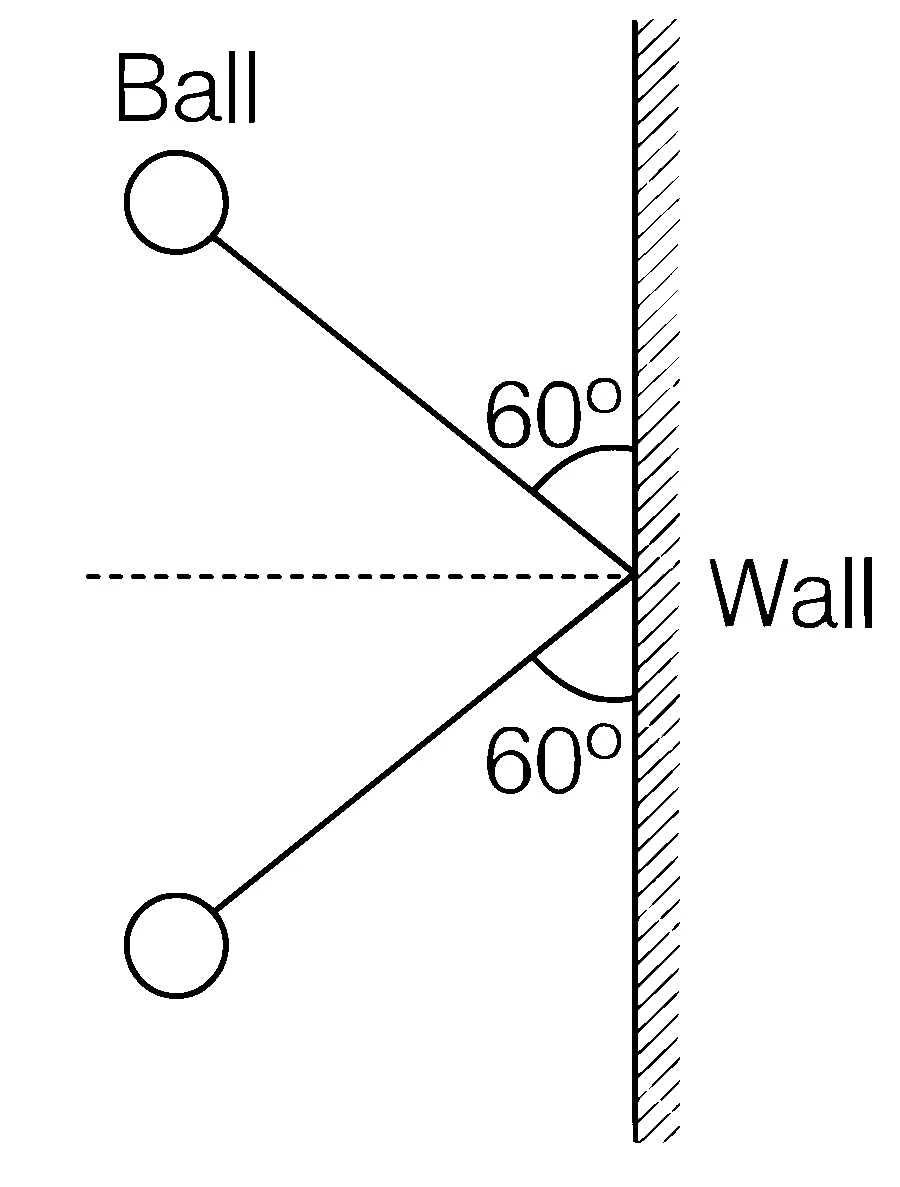 AP EAPCET 2021 - 20th August Evening Shift Physics - Center of Mass and Collision Question 30 English