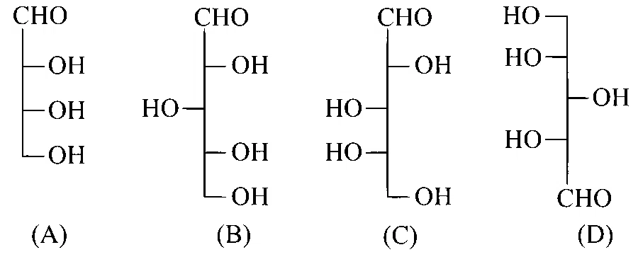 JEE Main 2025 (Online) 22nd January Evening Shift Chemistry - Biomolecules Question 34 English