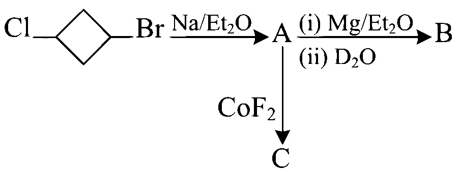 JEE Main 2024 (Online) 9th April Morning Shift Chemistry - Haloalkanes and Haloarenes Question 46 English