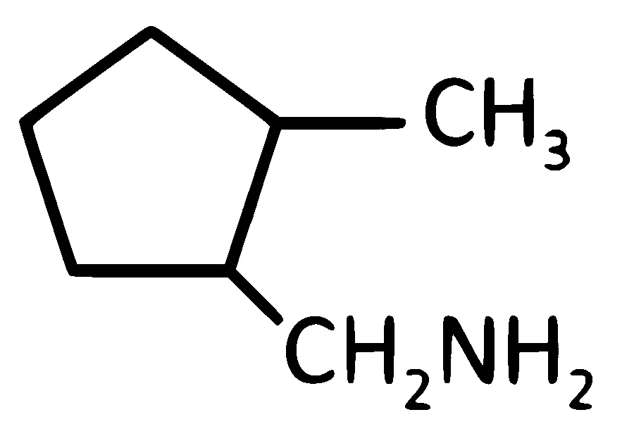 NEET 2025 Chemistry - Hydrocarbons Question 6 English Option 3