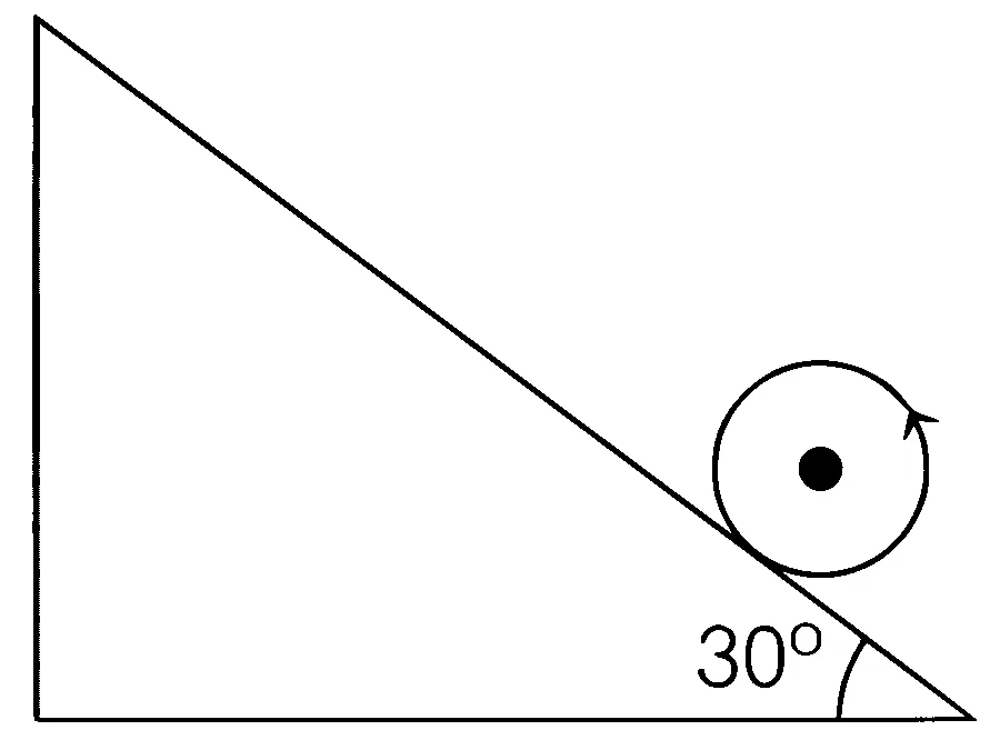 AIIMS 2019 Physics - Rotational Motion Question 5 English