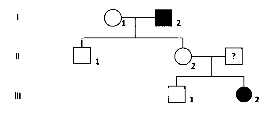 IAT (IISER) 2023 Biology - Principles of Inheritance and Variation Question 9 English