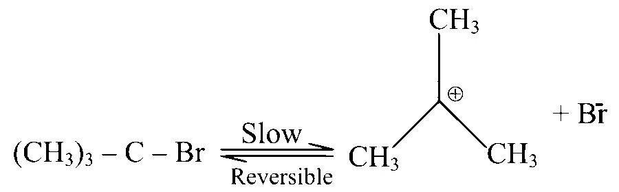 COMEDK 2026 Morning Shift Chemistry - Haloalkanes and Haloarenes Question 2 English