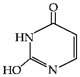 JEE Main 2021 (Online) 27th August Morning Shift Chemistry - Biomolecules Question 114 English Option 3