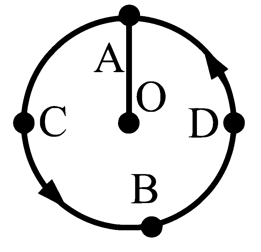 MHT CET 2025 25th April Morning Shift Physics - Circular Motion Question 24 English