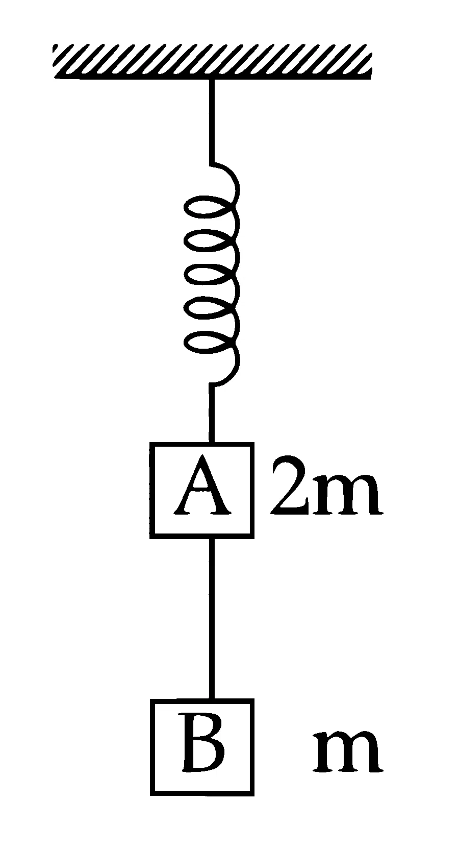 IIT-JEE 2006 Physics - Laws of Motion Question 2 English