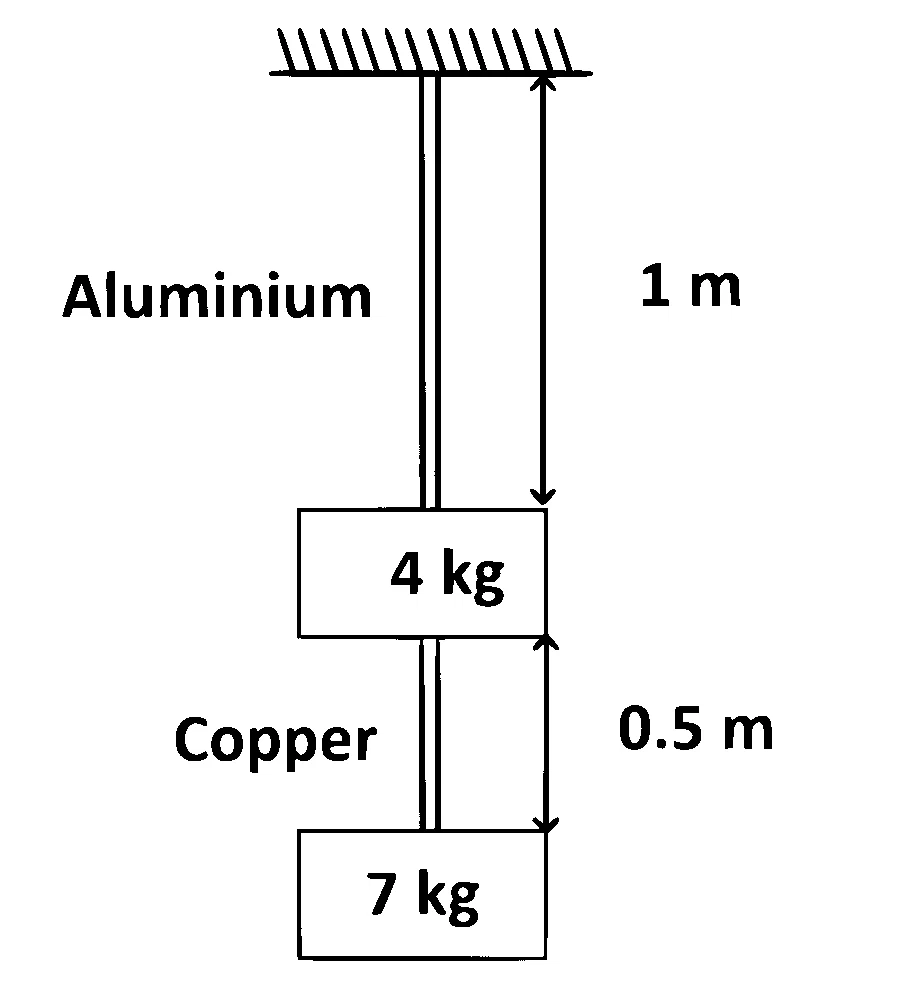 AP EAPCET 2024 - 22th May Morning Shift Physics - Elasticity Question 18 English