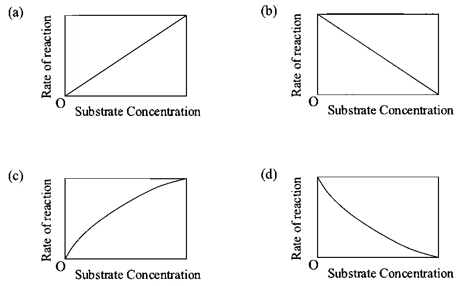 JEE Main 2023 (Online) 25th January Morning Shift Chemistry - Surface Chemistry Question 16 English