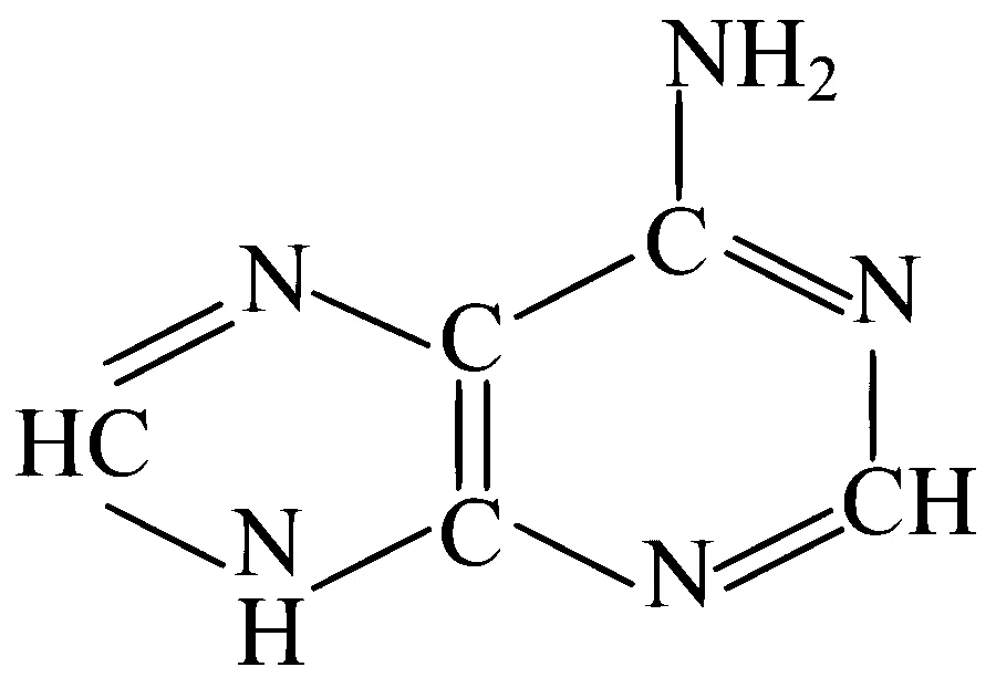 JEE Main 2024 (Online) 6th April Morning Shift Chemistry - Biomolecules Question 40 English Option 3