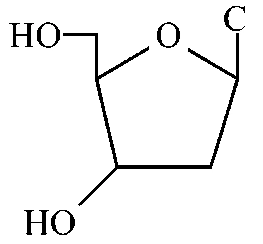 AP EAPCET 2025 - 26th May Evening Shift Chemistry - Biomolecules Question 6 English Option 3