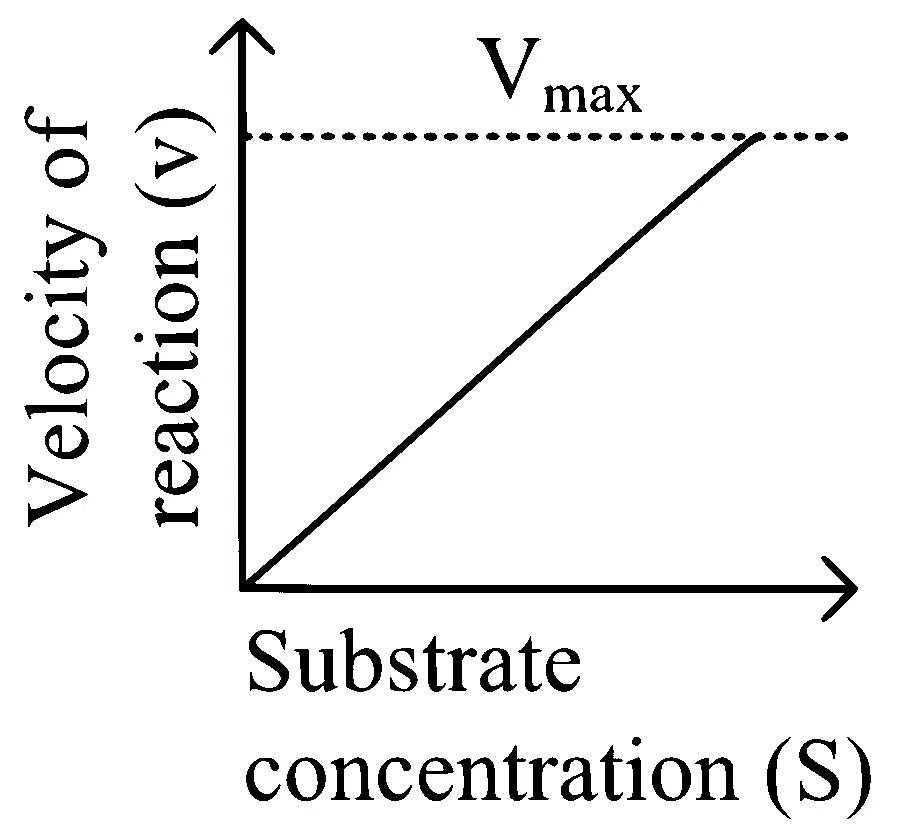 NEET 2024 (Re-Examination) Biology - Biomolecules Question 14 English Option 2