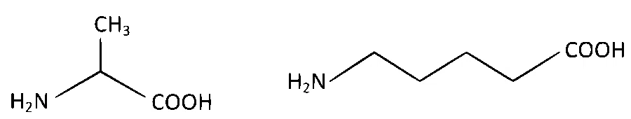 AP EAPCET 2024 - 18th May Morning Shift Chemistry - Polymers Question 22 English Option 2