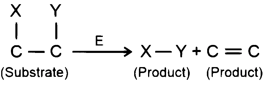 NEET 2026 Biology - Biomolecules Question 3 English