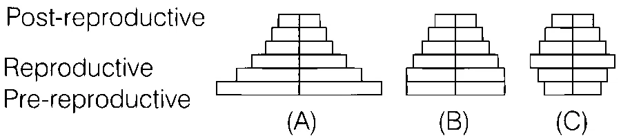AIIMS 2019 Biology - Organisms and Populations Question 3 English