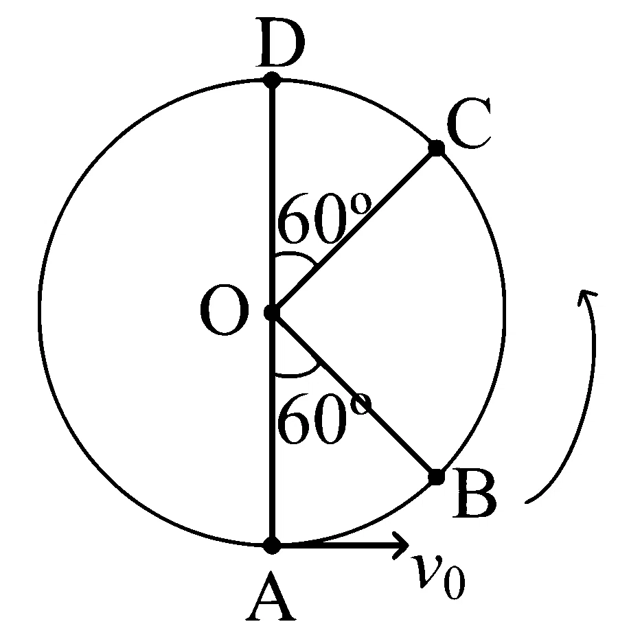 JEE Main 2025 (Online) 22nd January Morning Shift Physics - Circular Motion Question 14 English