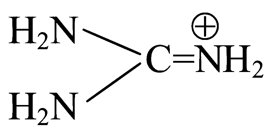 NEET 2023 Manipur Chemistry - Some Basic Concepts of Organic Chemistry Question 20 English Option 4