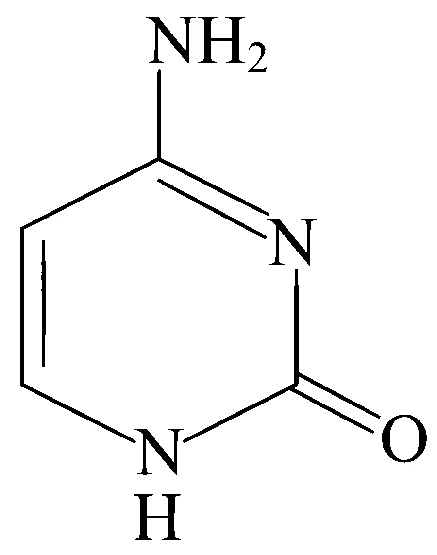 JEE Main 2025 (Online) 24th January Evening Shift Chemistry - Biomolecules Question 30 English 4