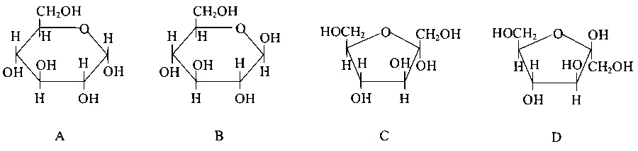 JEE Main 2023 (Online) 25th January Morning Shift Chemistry - Biomolecules Question 75 English