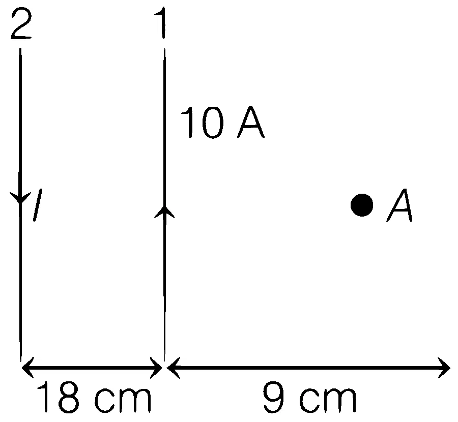 AIIMS 2019 Physics - Moving Charges and Magnetism Question 12 English