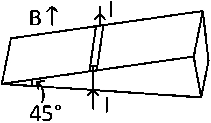 JEE Main 2022 (Online) 28th July Morning Shift Physics - Magnetic Effect of Current Question 110 Bengali
